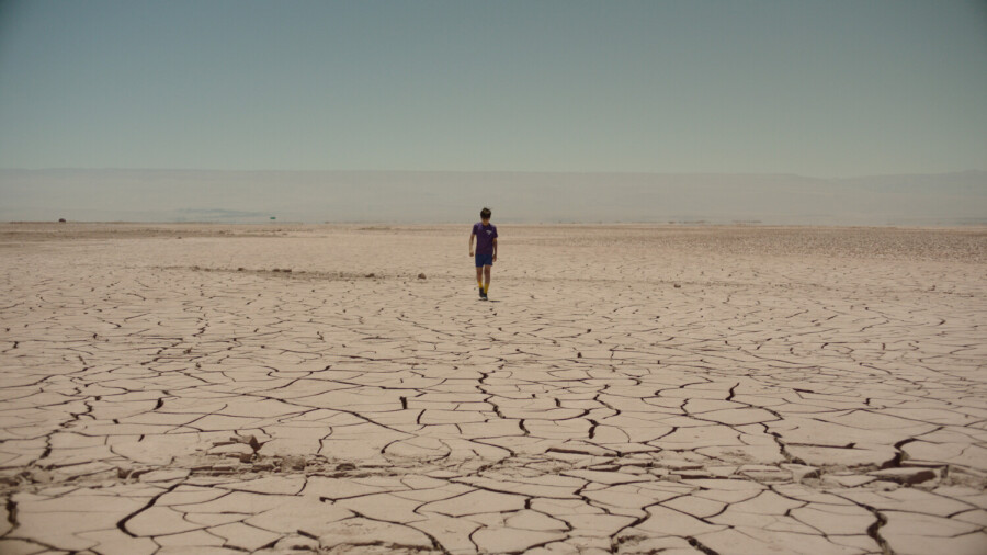 Estrellas-del-desierto